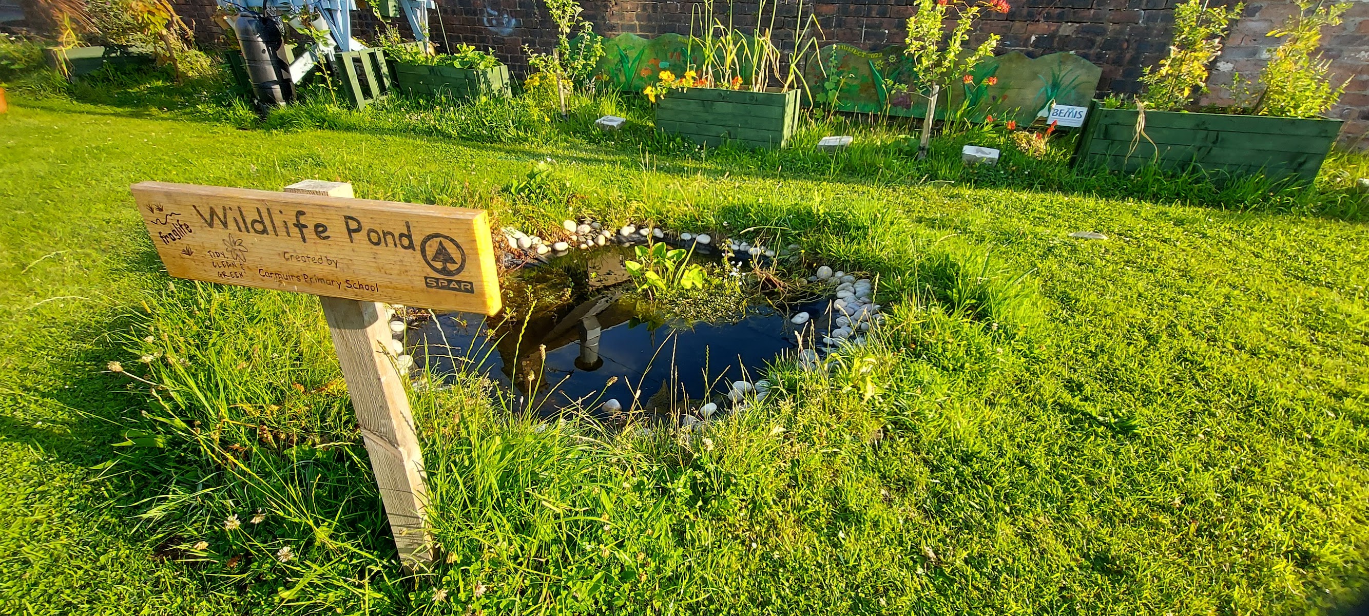 Burnside community garden
