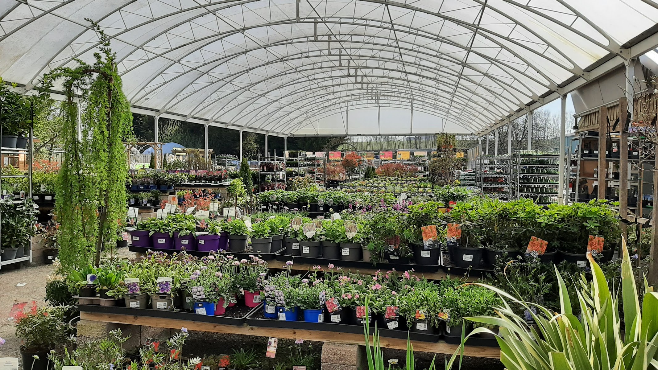 Greenyards Garden Centre Ltd