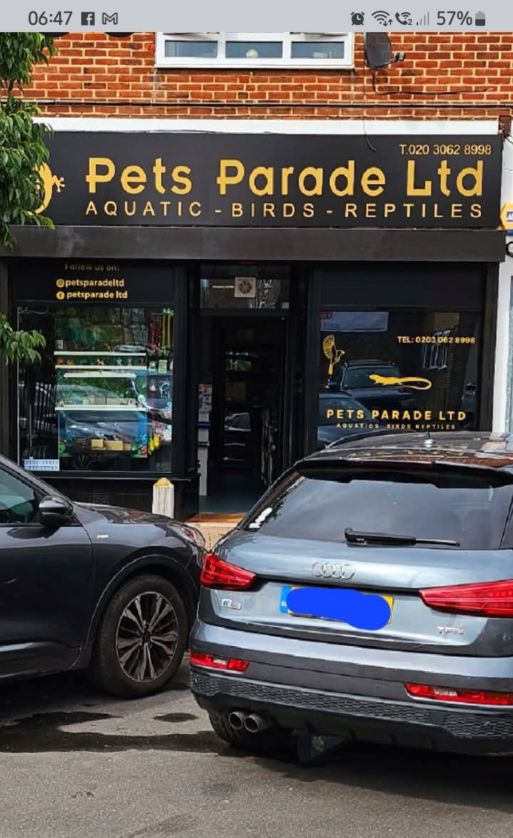 Pets Parade Ltd