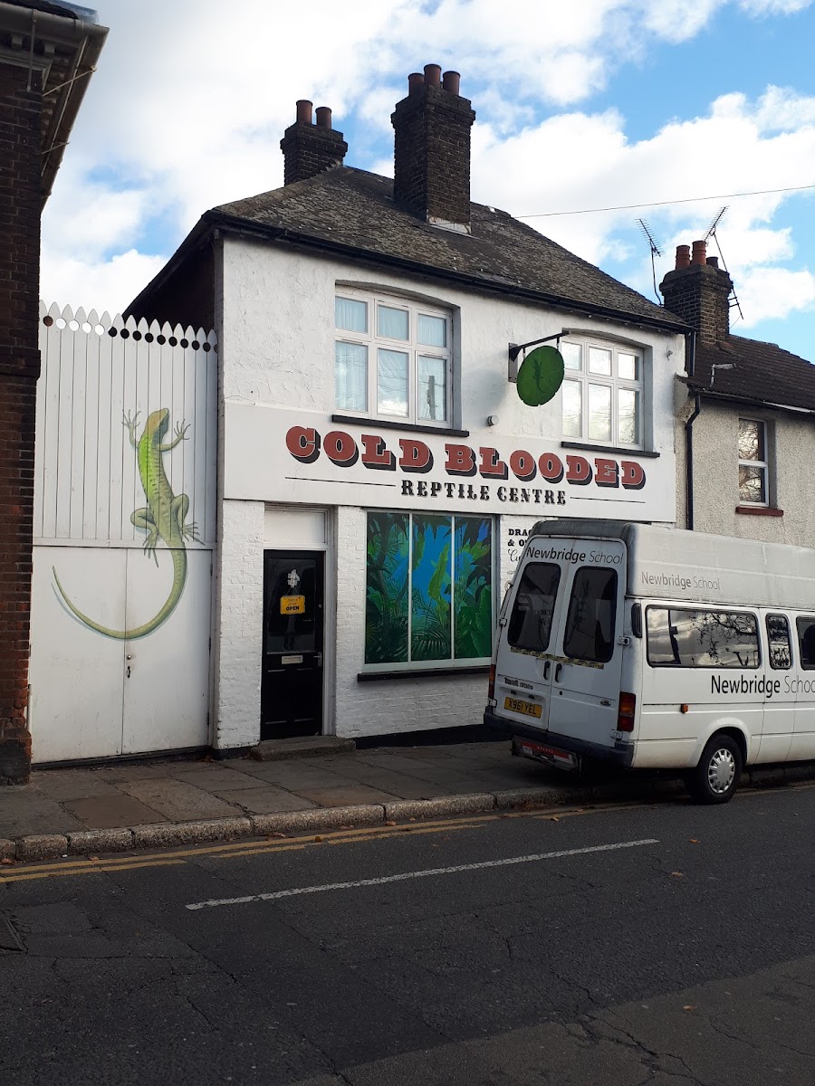 Cold Blooded Reptile Centre