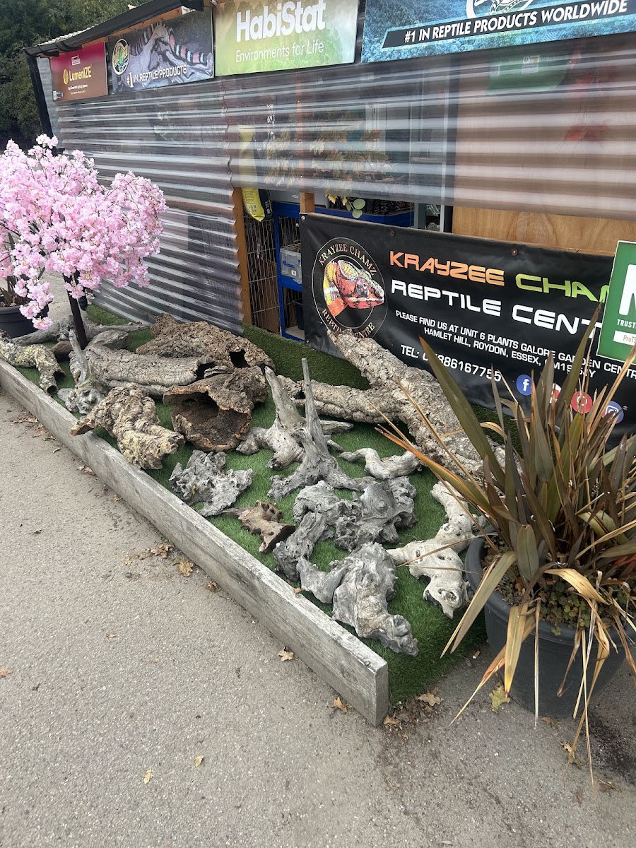 Krayzee Chamz Reptile Centre
