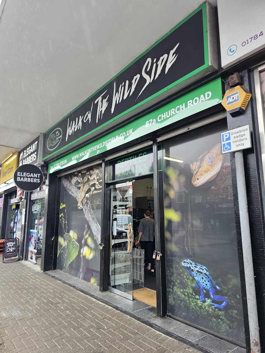 Walk on the Wildside Reptiles and Aquatics