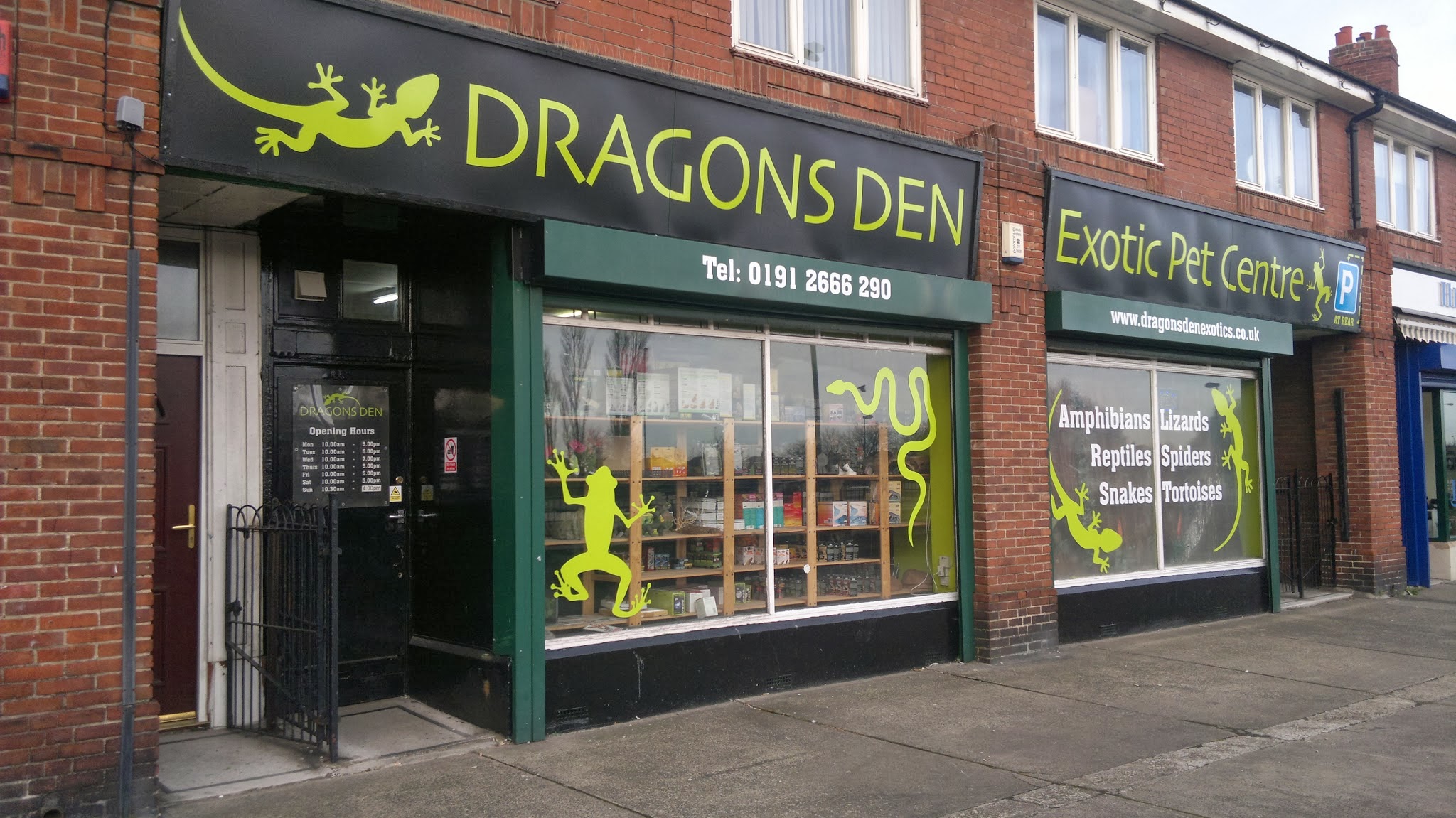 Dragons Den Exotic Pets- Reptiles, Snakes, Amphibians, Lizards, Arachnids