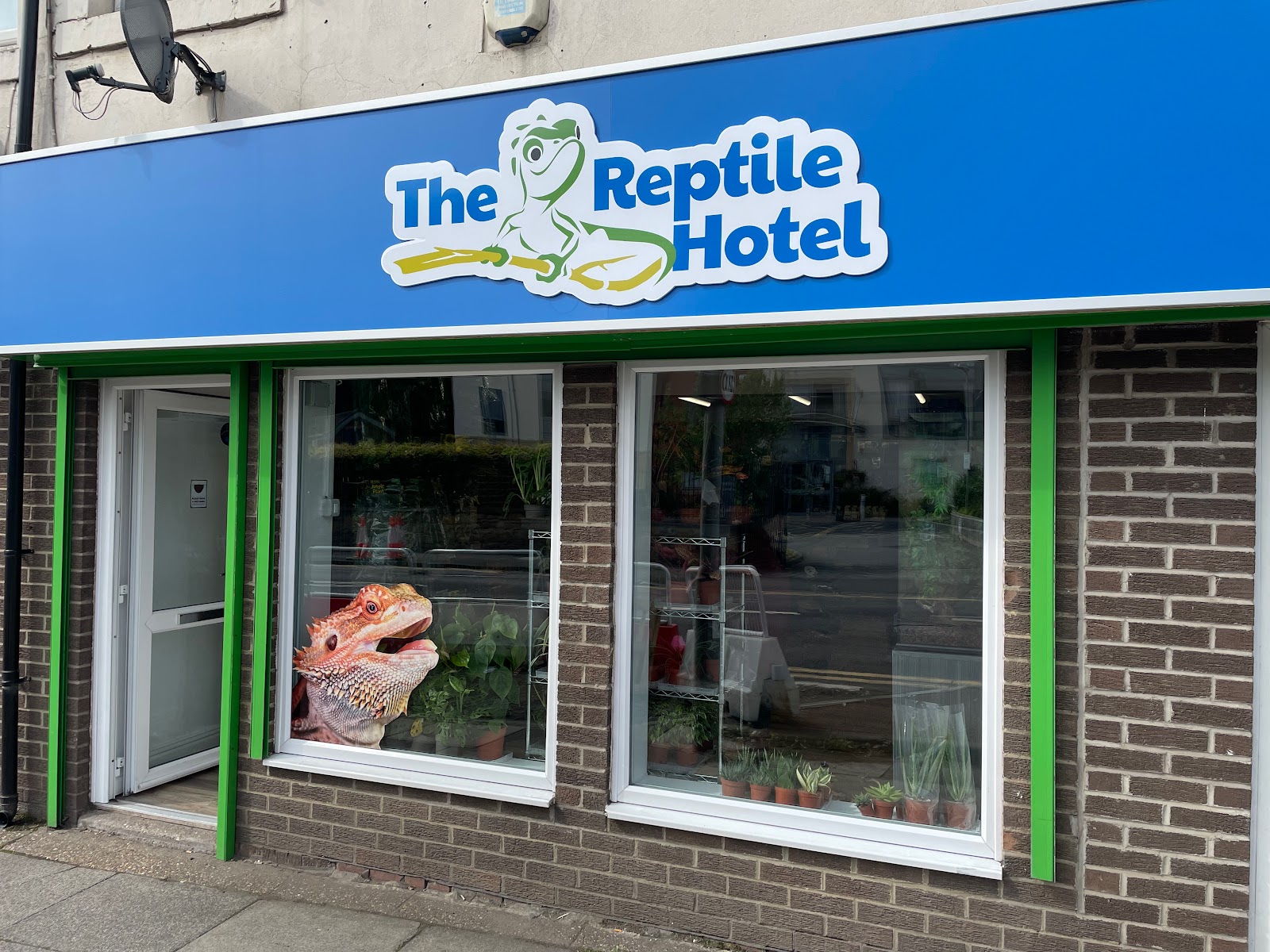 The Reptile Hotel