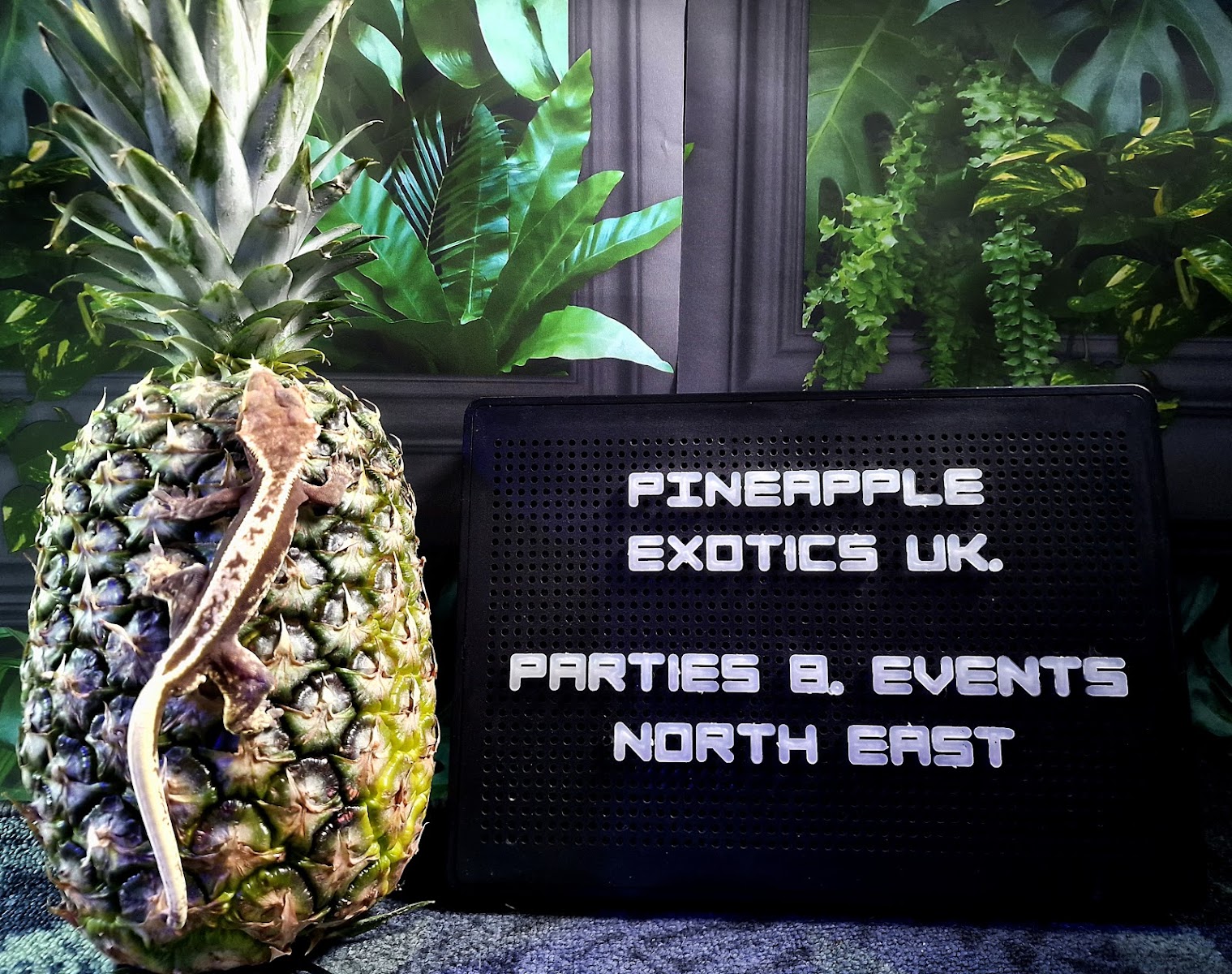 Pineapple Exotics UK