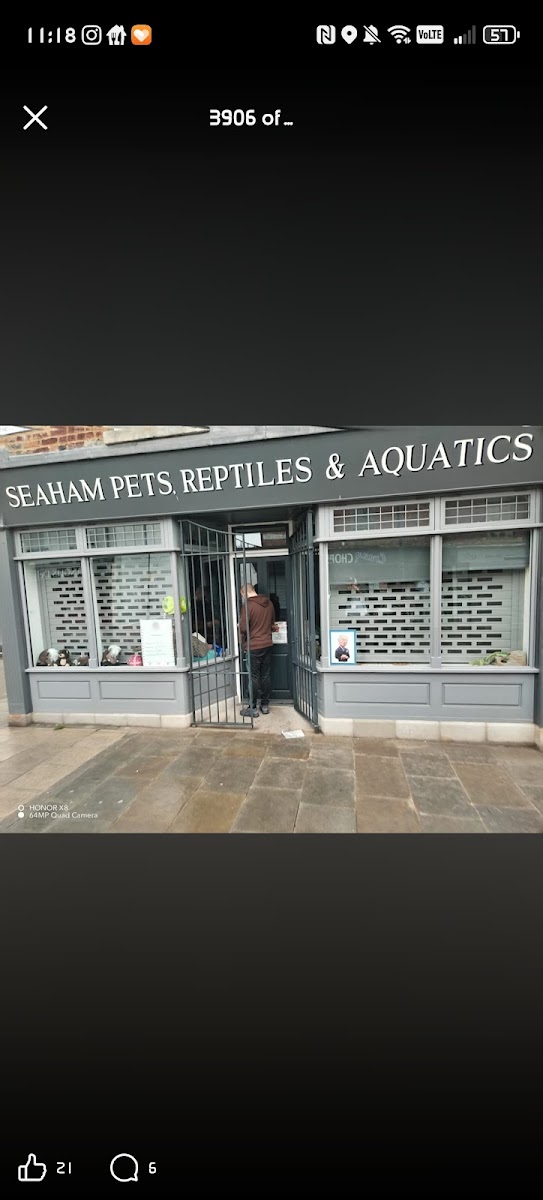 Seaham Pets Gardens & Reptiles Ltd