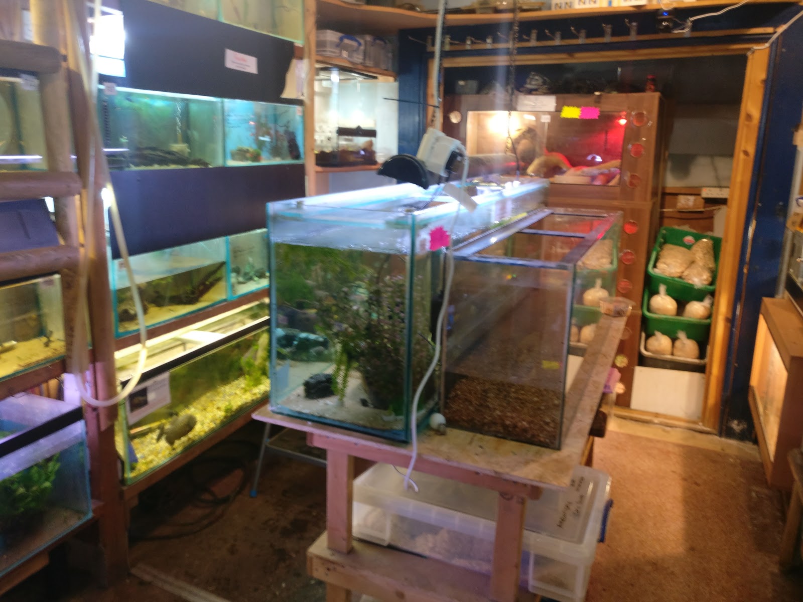 Heather's Place4Pets