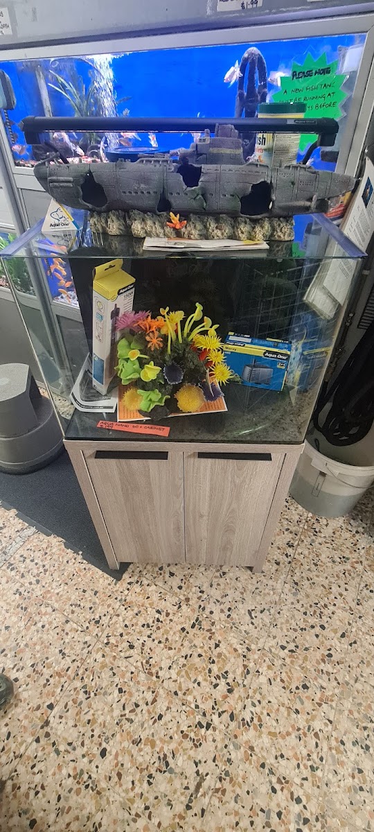 Julies Pets and Reptiles