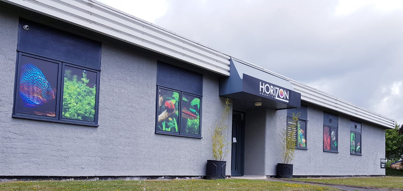 Horizon Aquatics