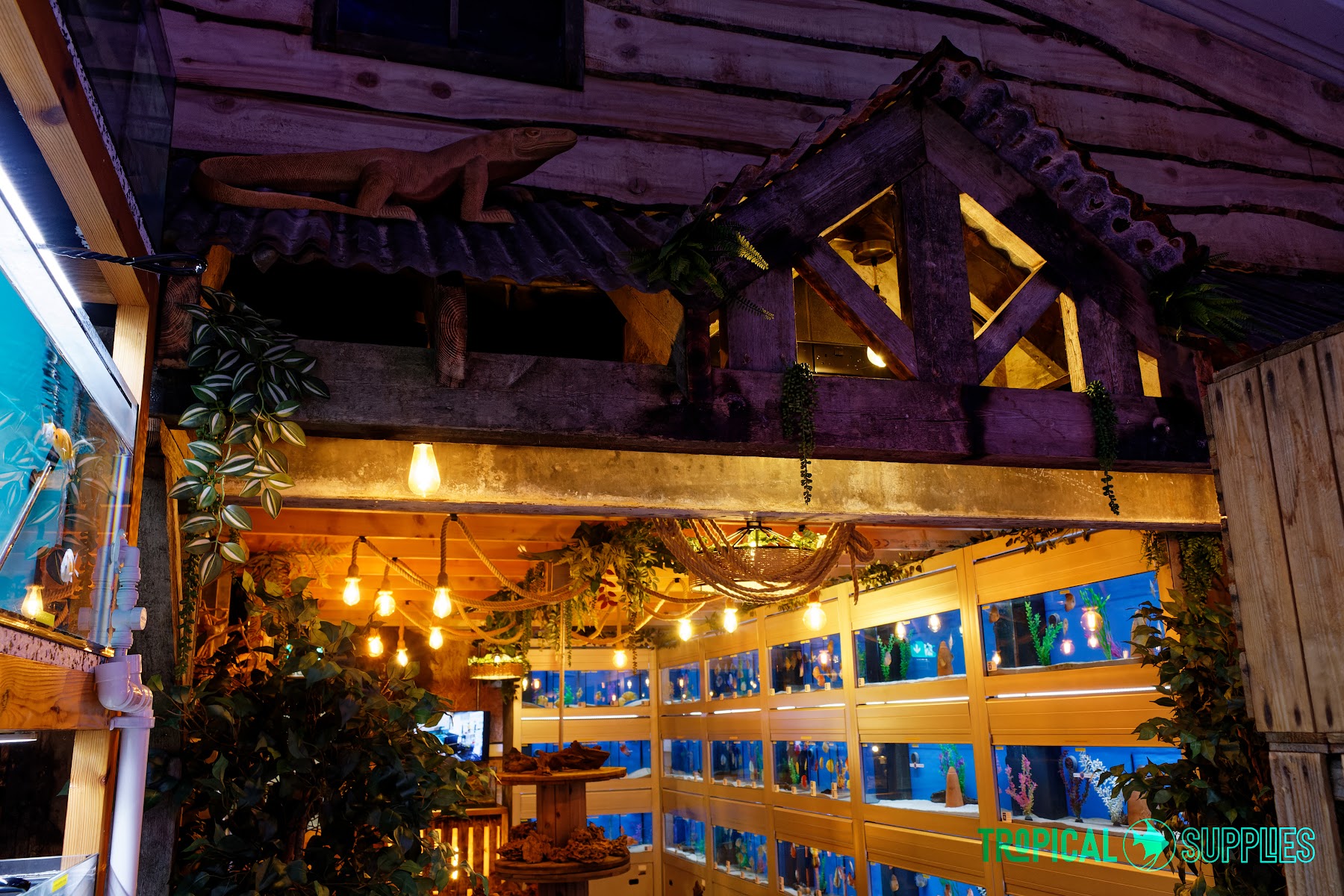 Tropical Supplies Limited - Aquatics & Reptiles