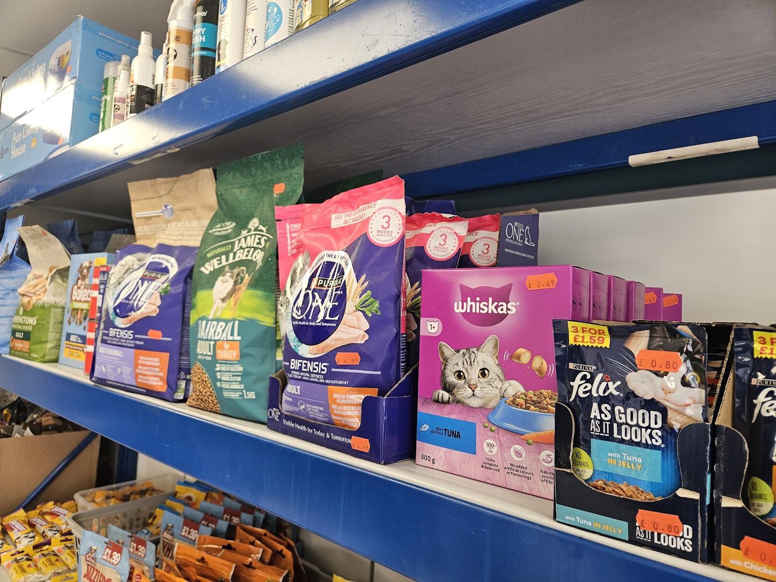 Carter's Aquatics & Pets