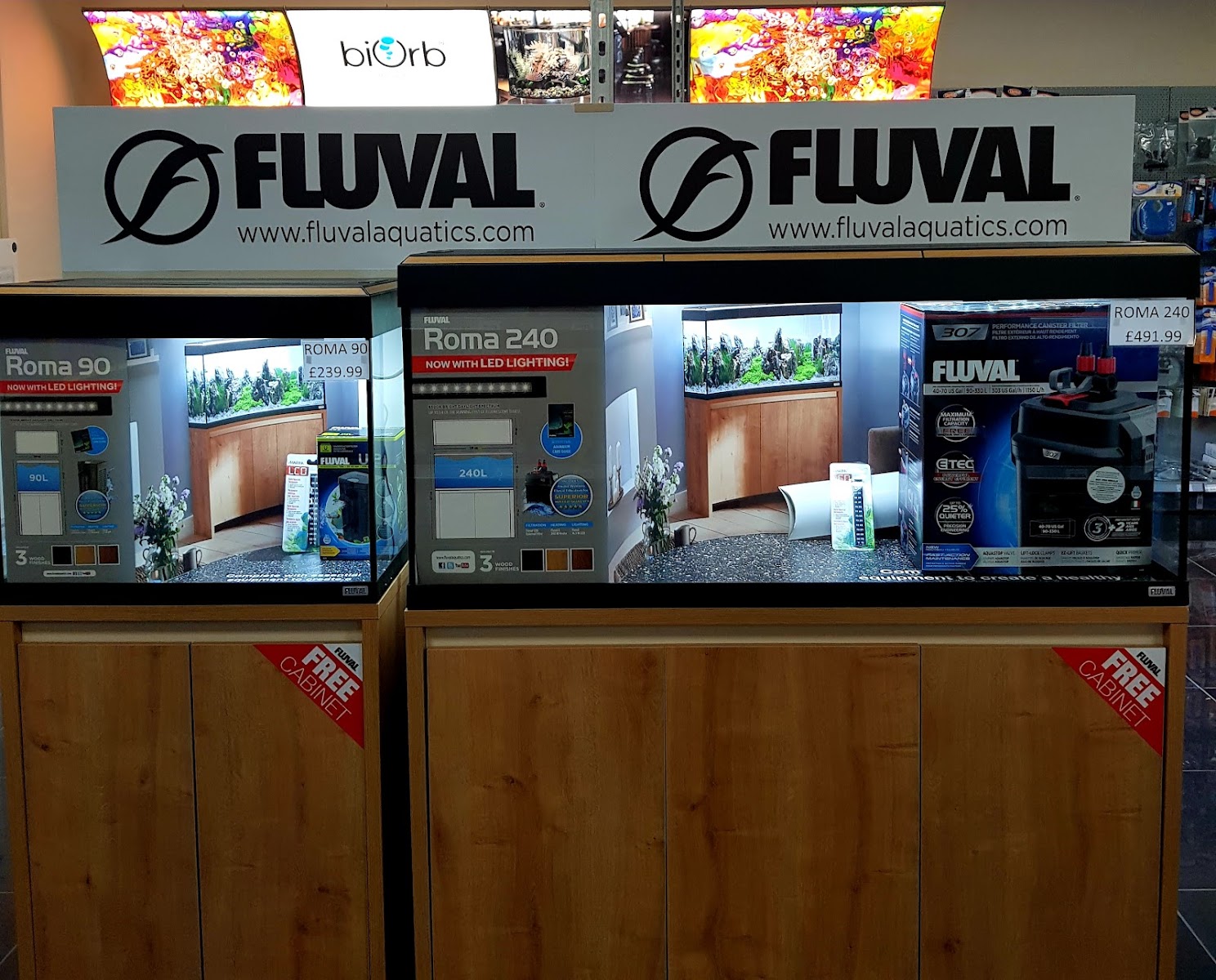 Complete Koi & Aquatics