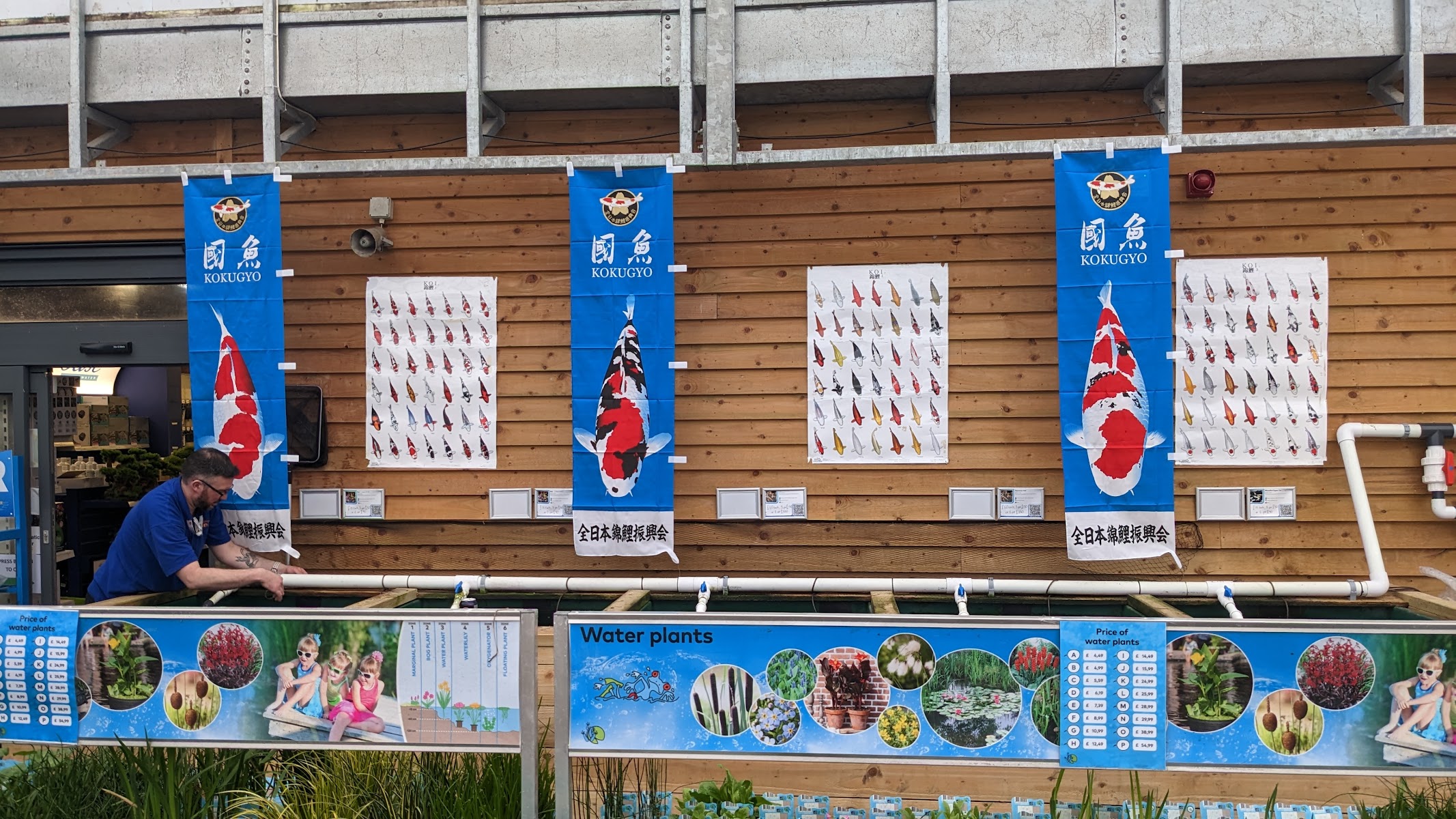Maidenhead Aquatics Carlisle Dobbies