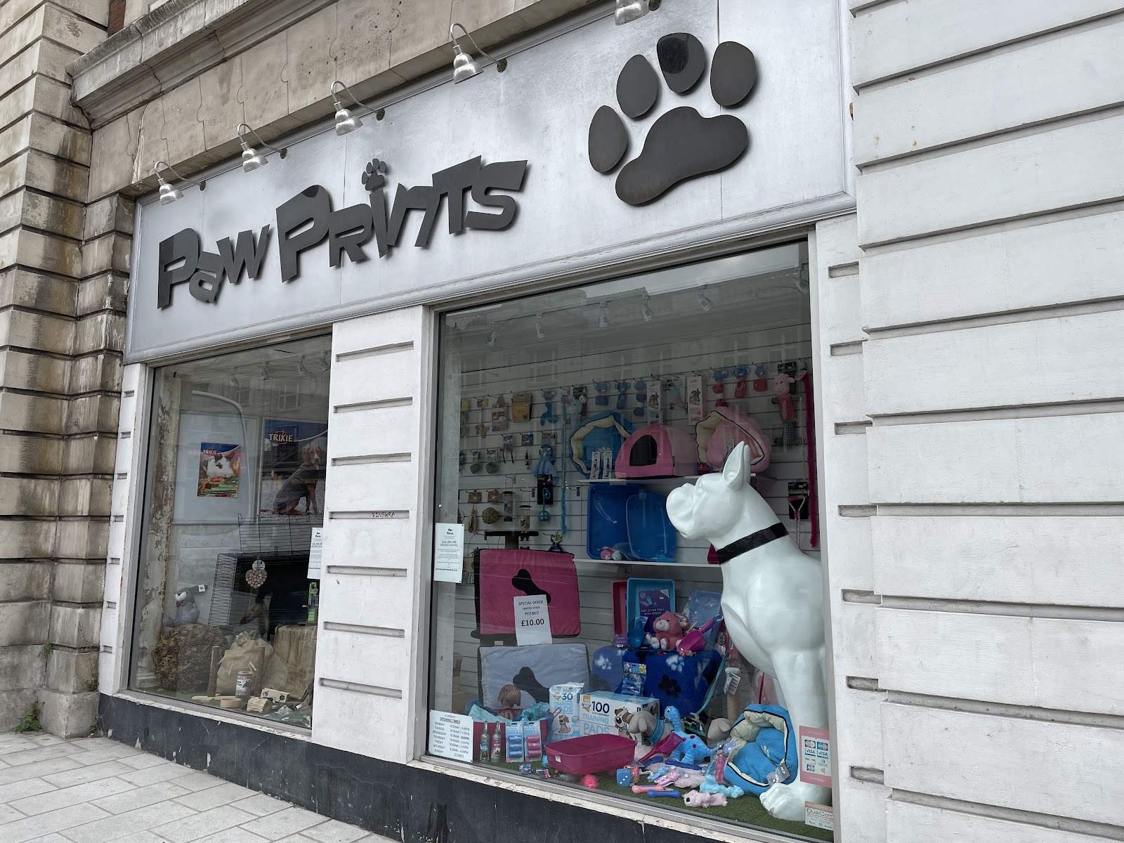 Paw Prints