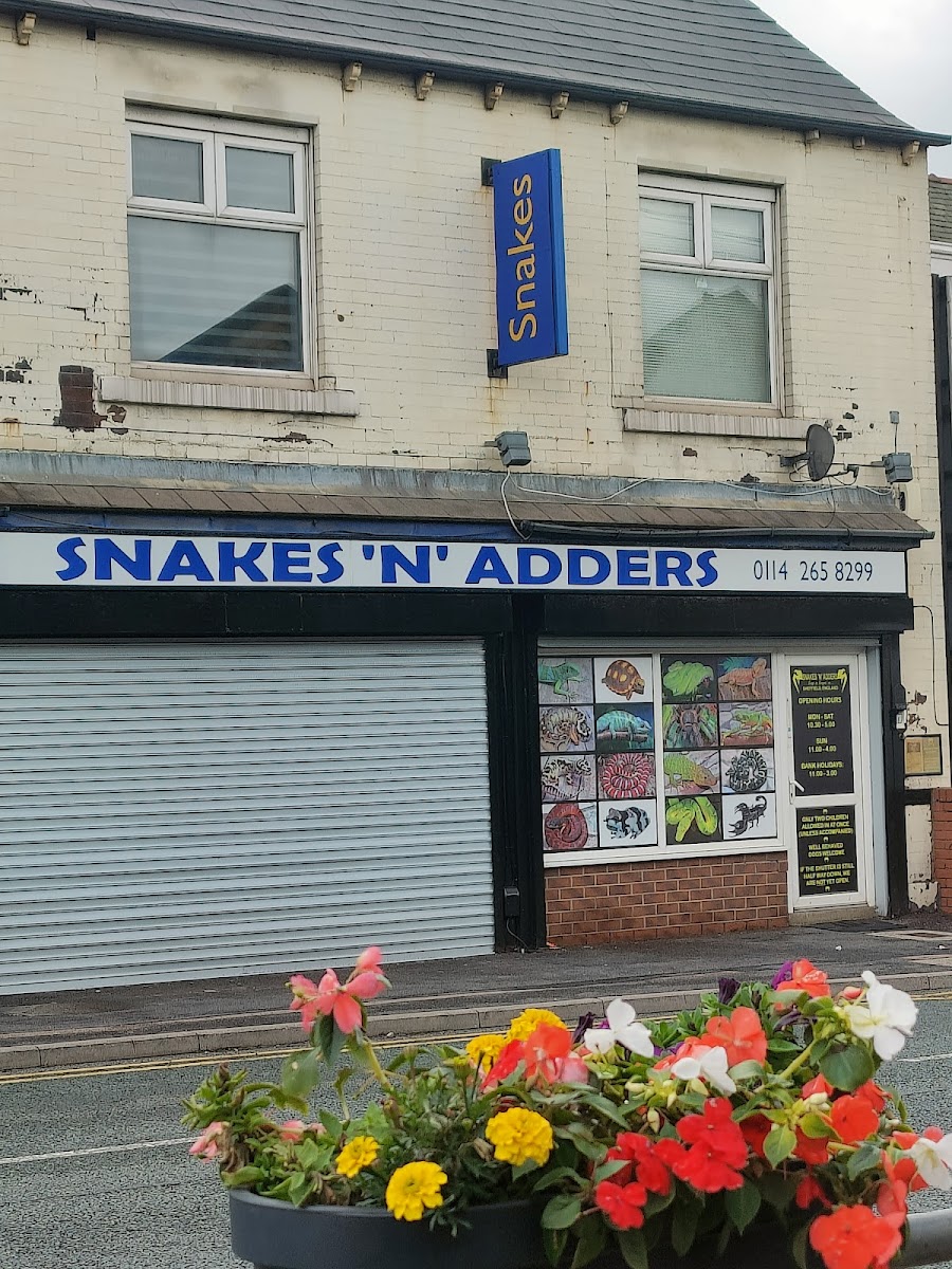 Snakes N Adders