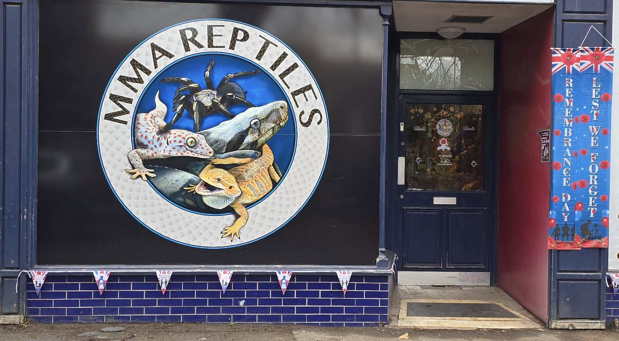 MMA Reptiles