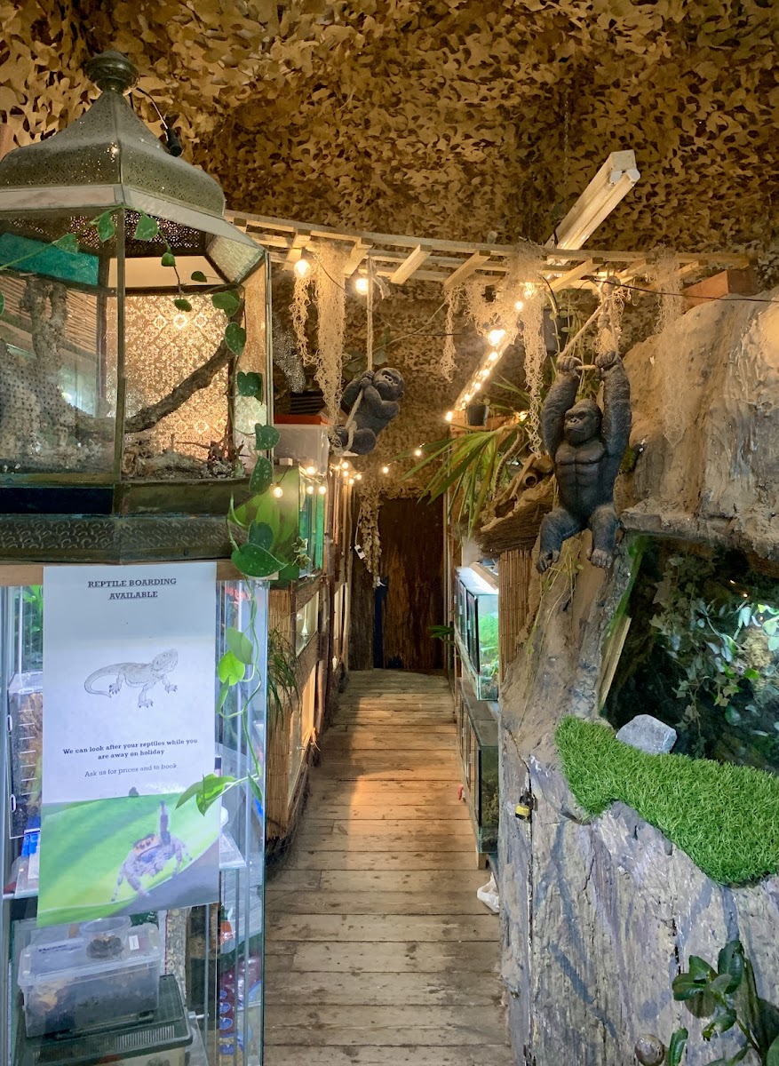 The World of Fish And Pets
