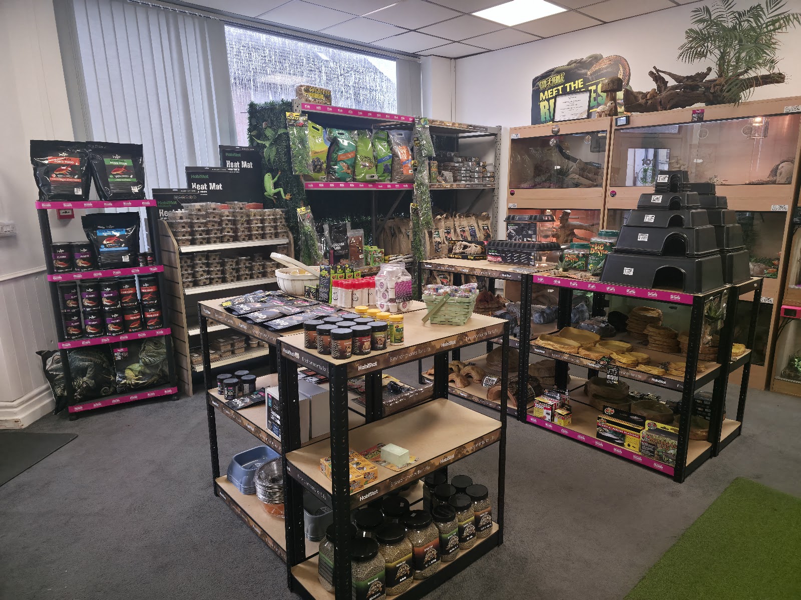 M.A.D Reptiles