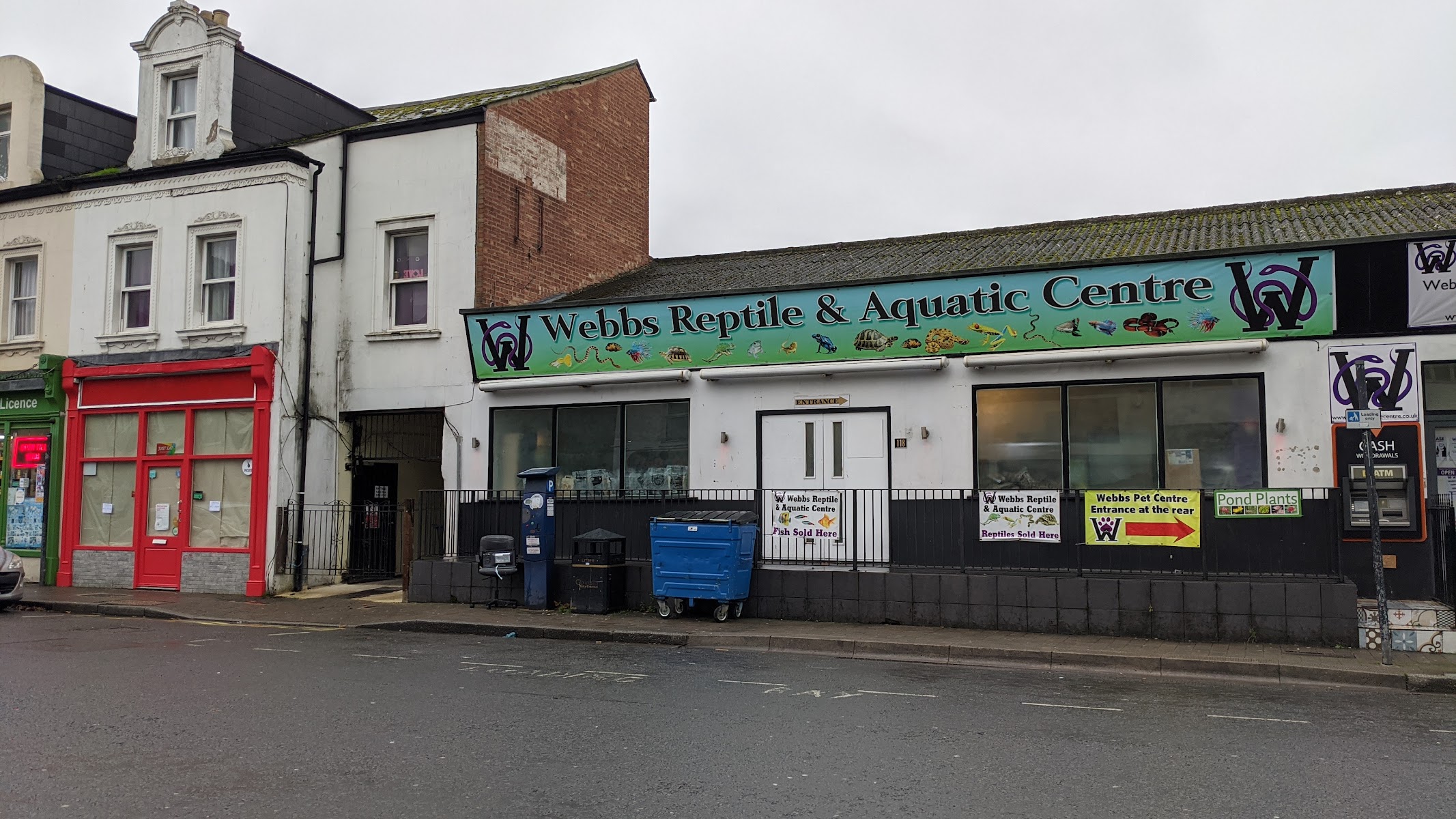 Webbs Reptile Shop