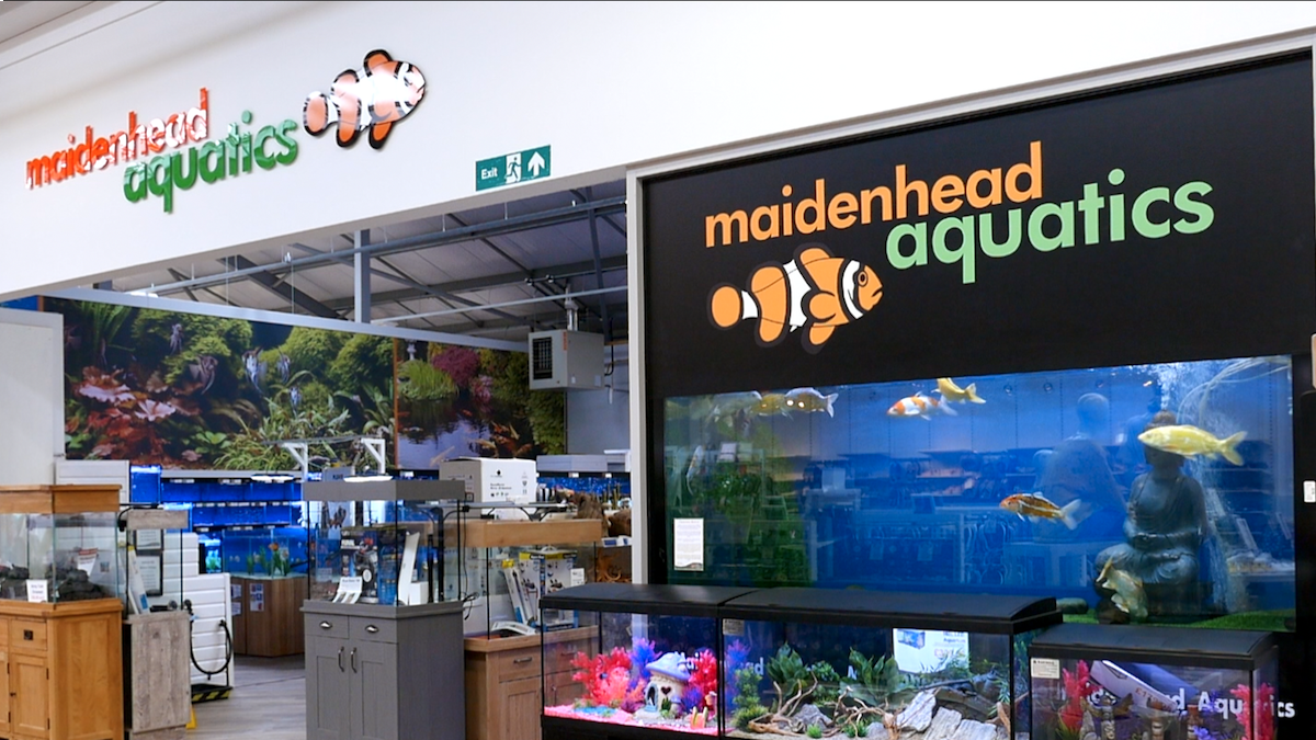 Maidenhead Aquatics Shrewsbury