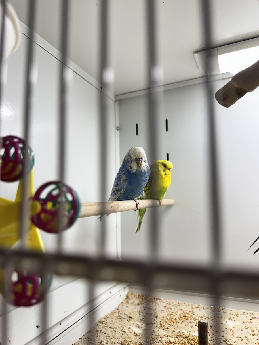 Dawley Pet Supplies