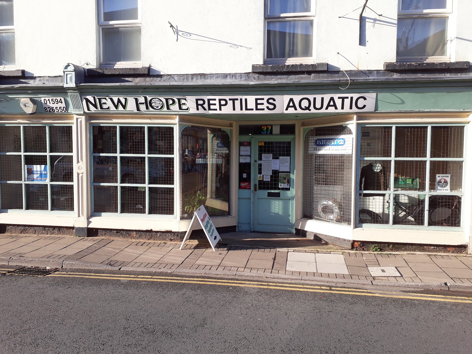 New Hope Reptile Rehome
