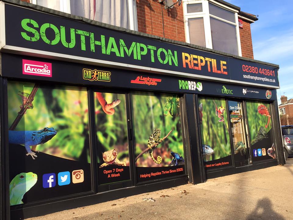Southampton Reptile