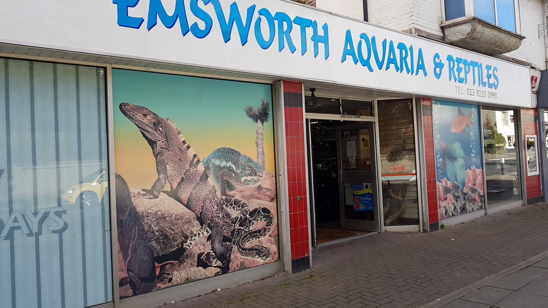 Emsworth Reptiles U.K.