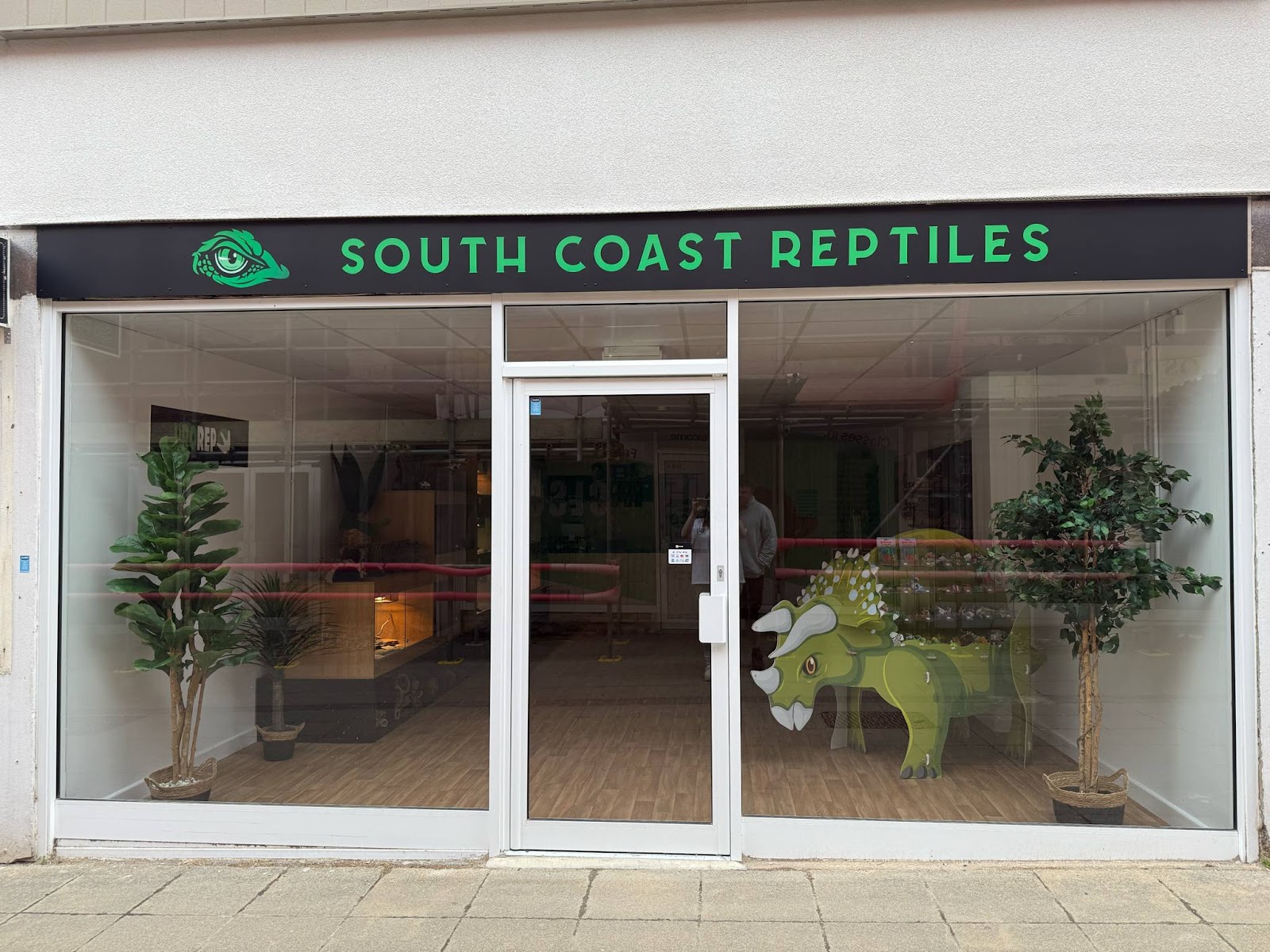 South Coast Reptiles