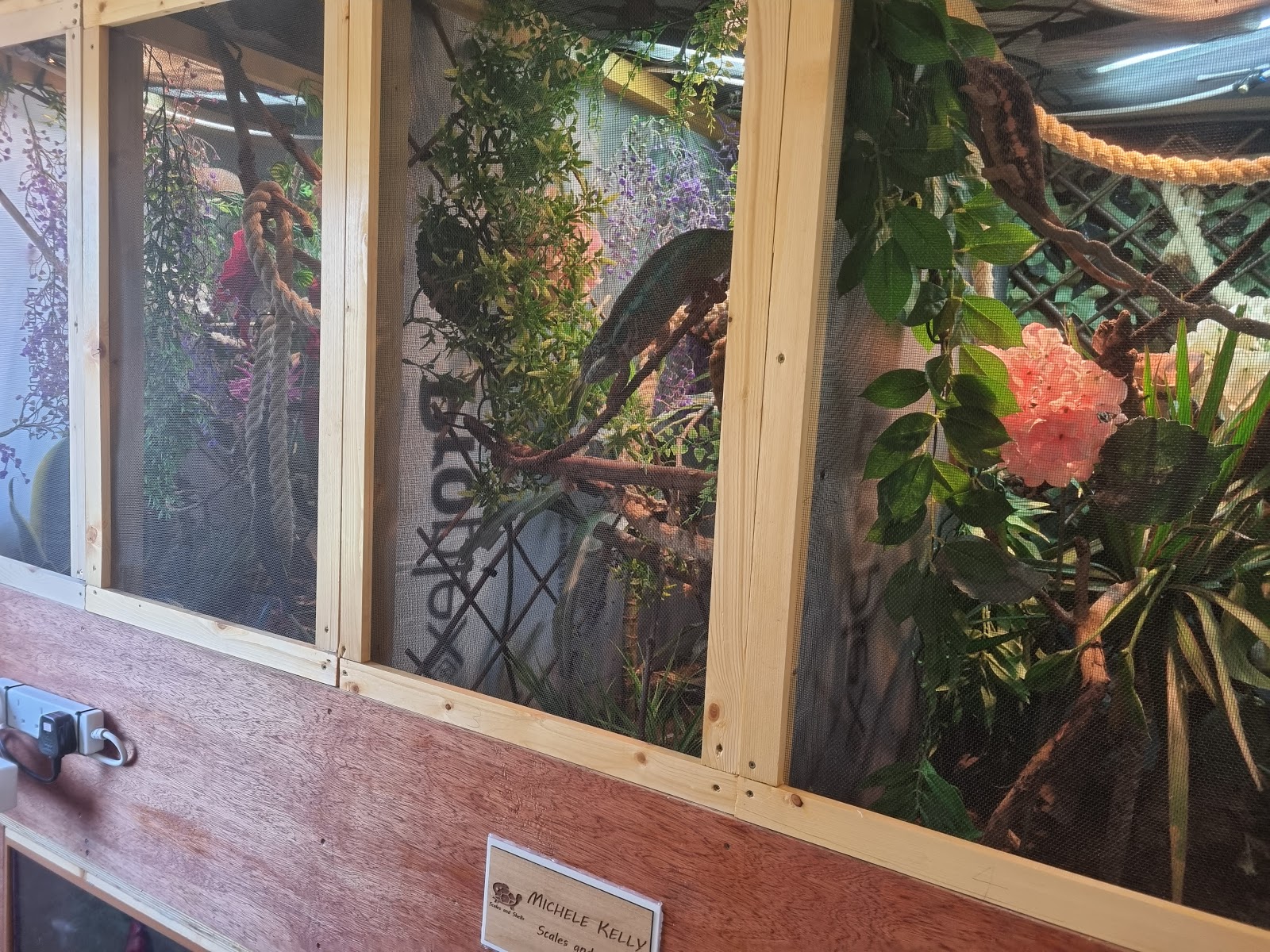 Scales and shells - breeder, reptile parties and educational encounters