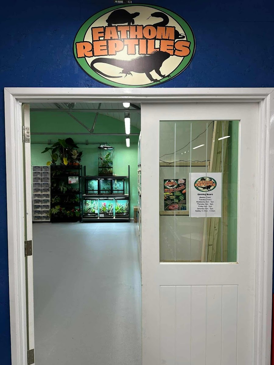 Fathom Reptiles - Basingstoke