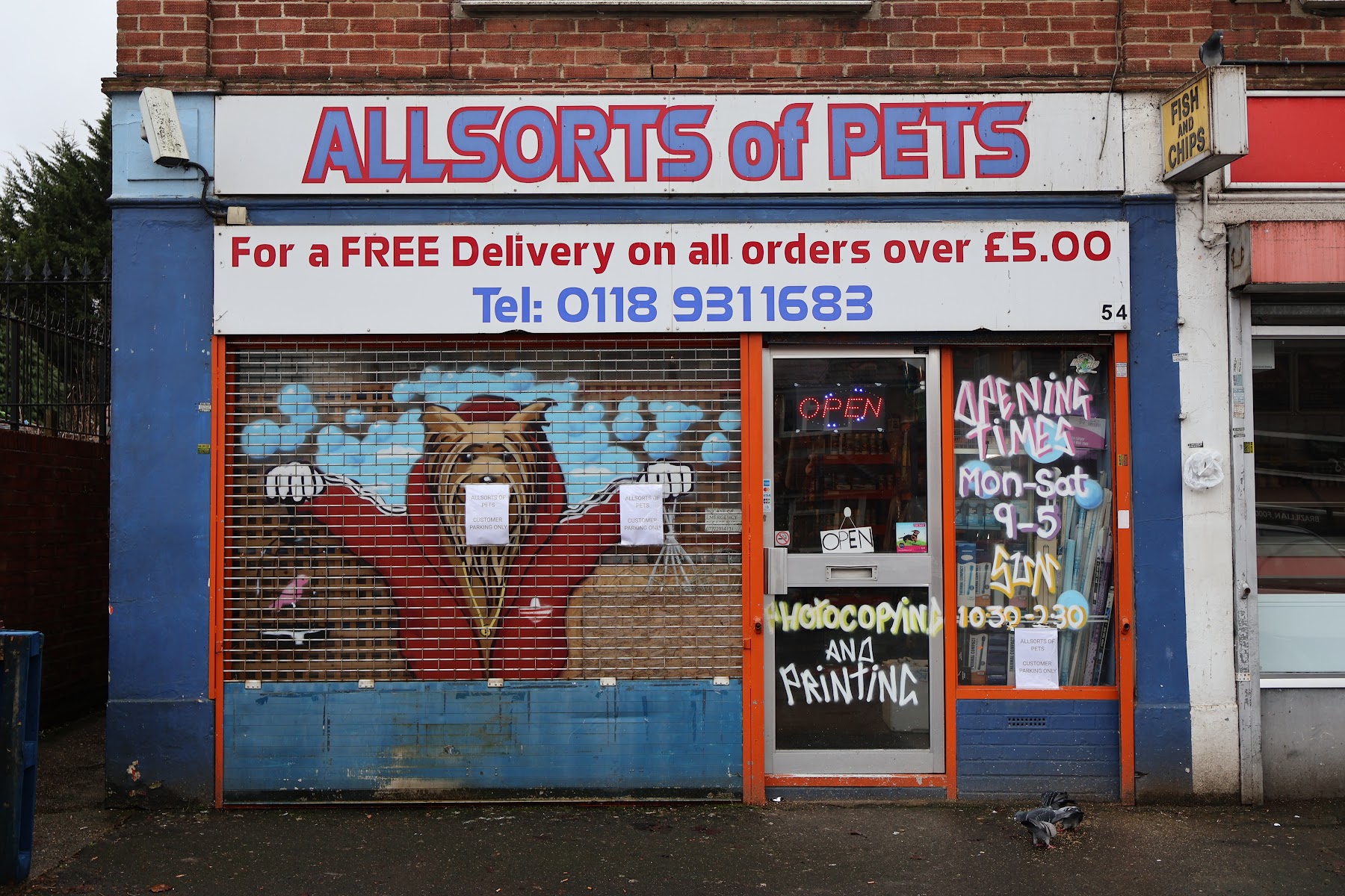 Allsorts Of Pets