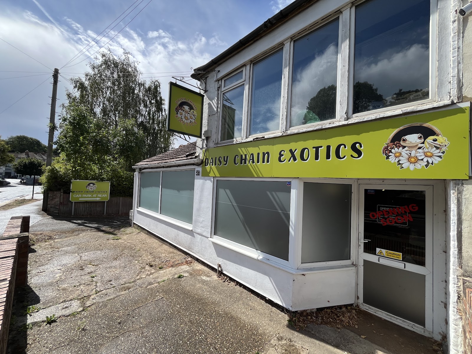Daisy Chain Exotics LTD