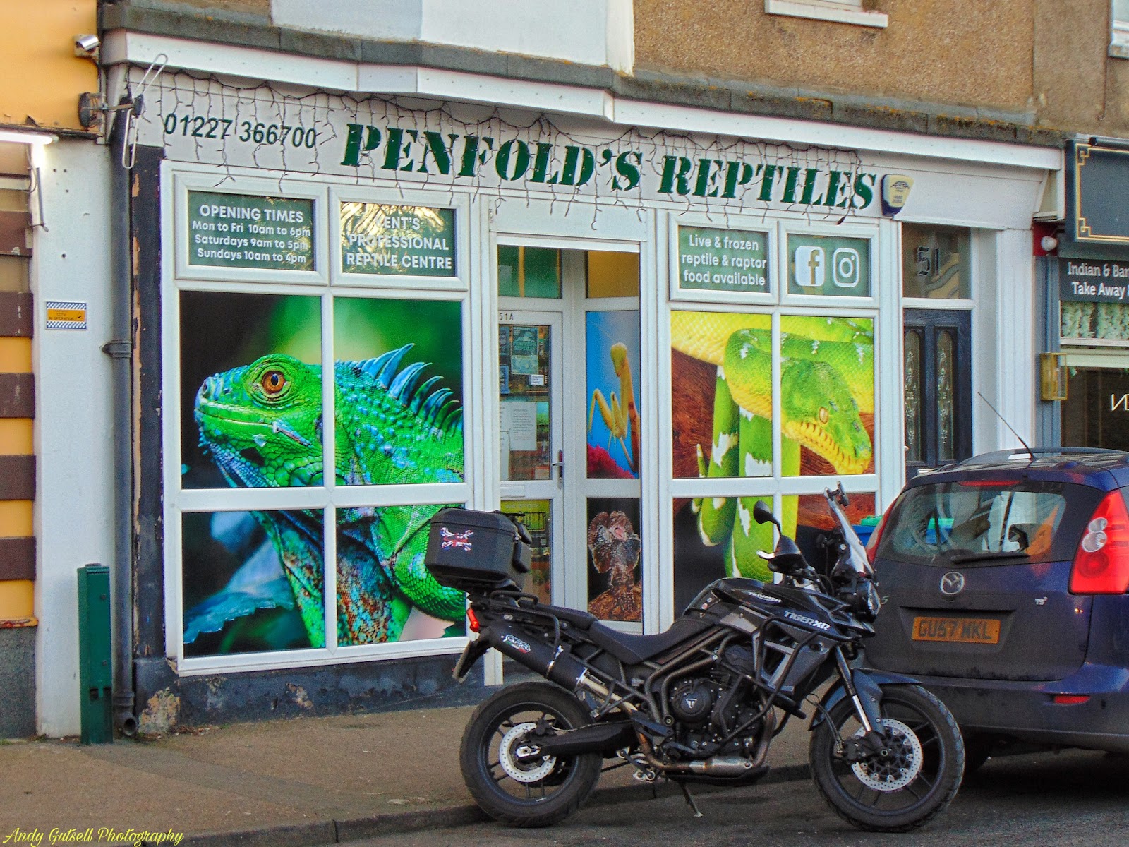 Penfolds Reptiles