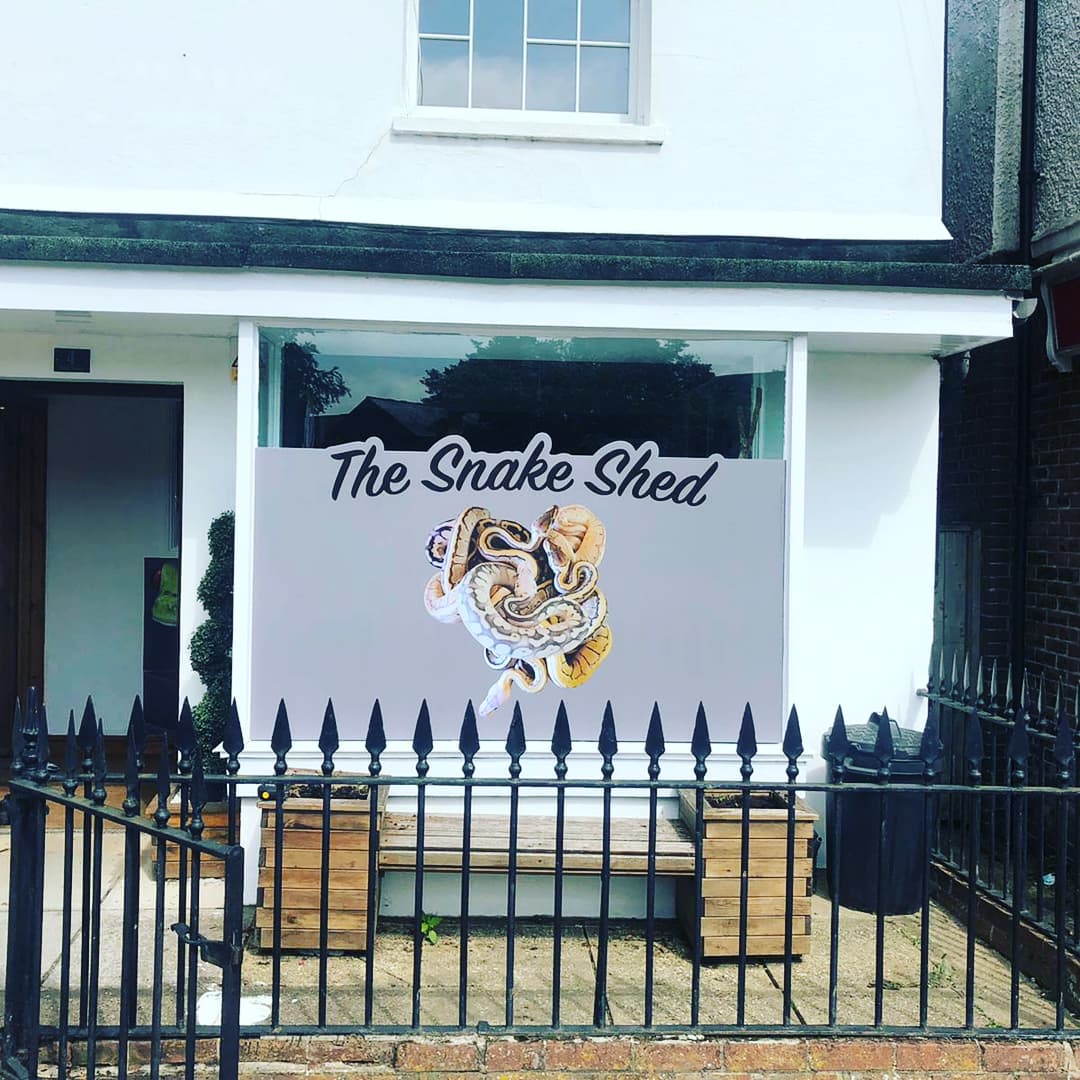 The Snake Shed