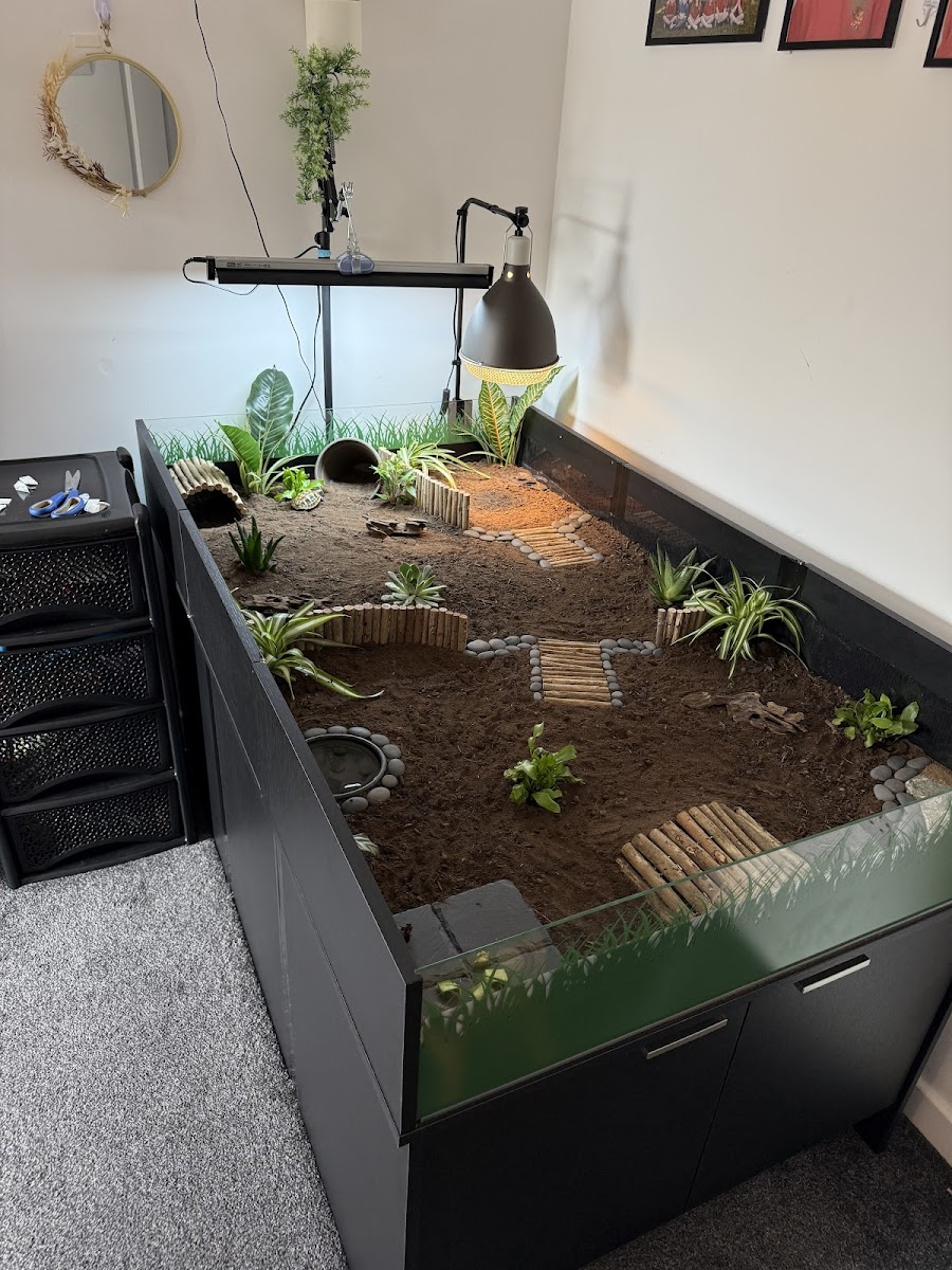 Elm Courts Reptile House