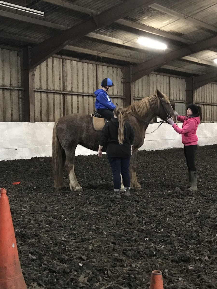 Eston Equitation Centre