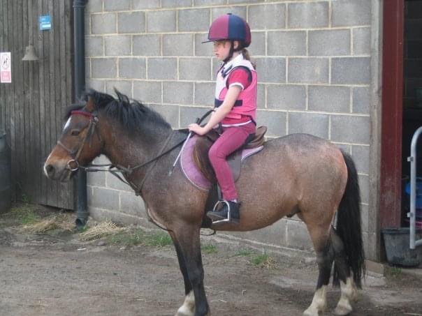Kirklevington Riding Centre