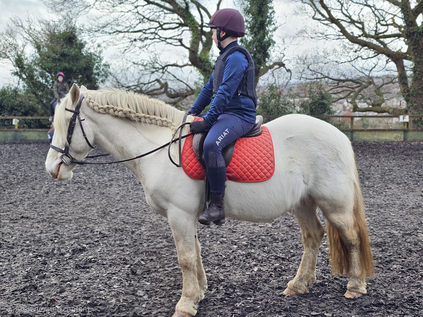 Hole In The Wall Riding School
