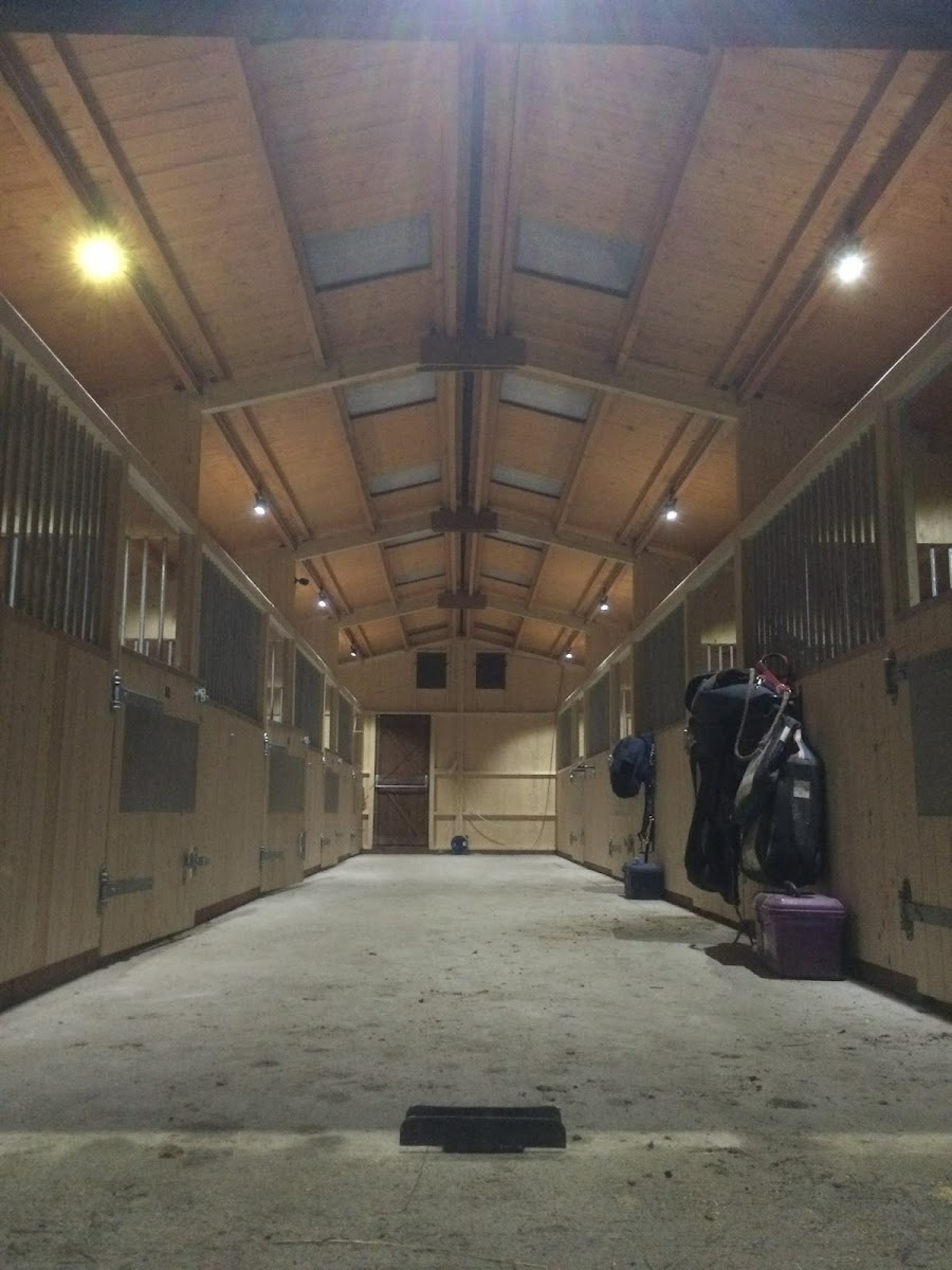 S. Round Equestrian