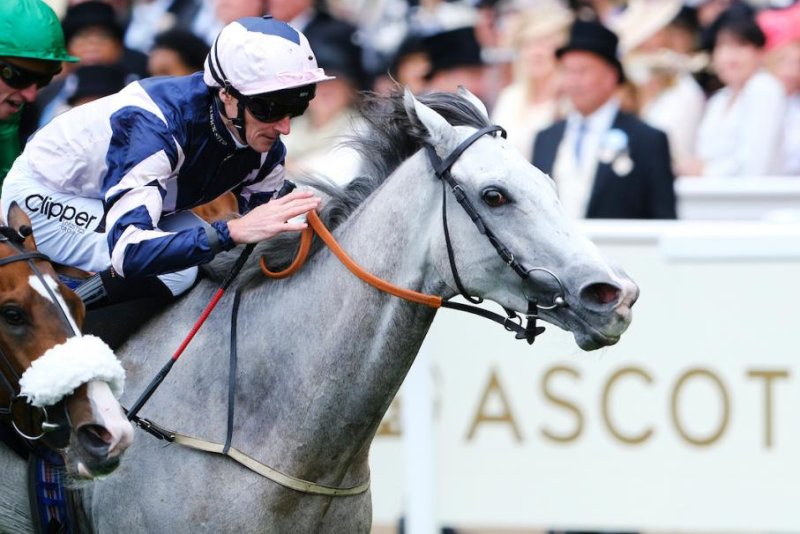 Elwick Stud