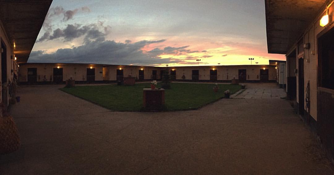 Ryehills Equestrian Services