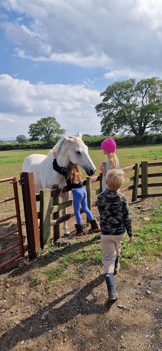 Lea Close Farm