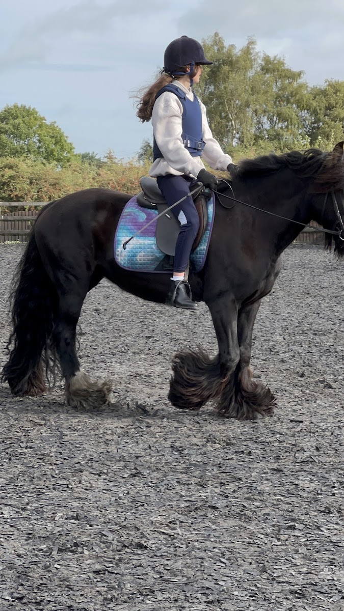 Millfarm Riding School