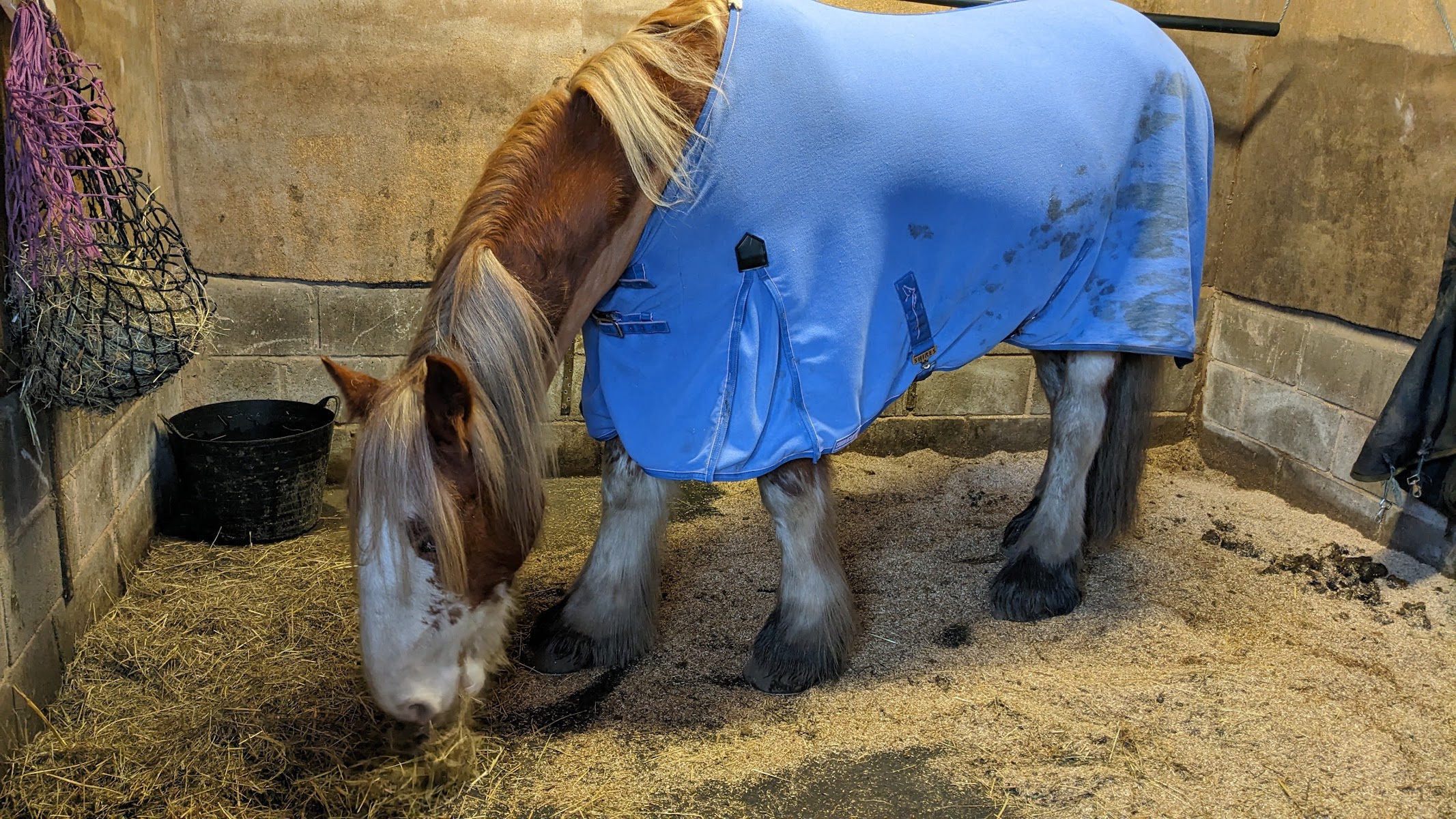 Margaret Haes Riding Centre