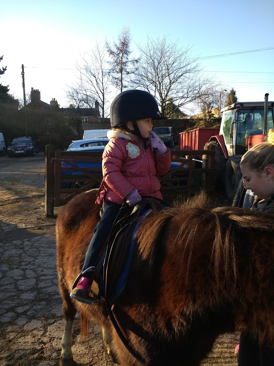 Ashton Hall Equestrian Centre