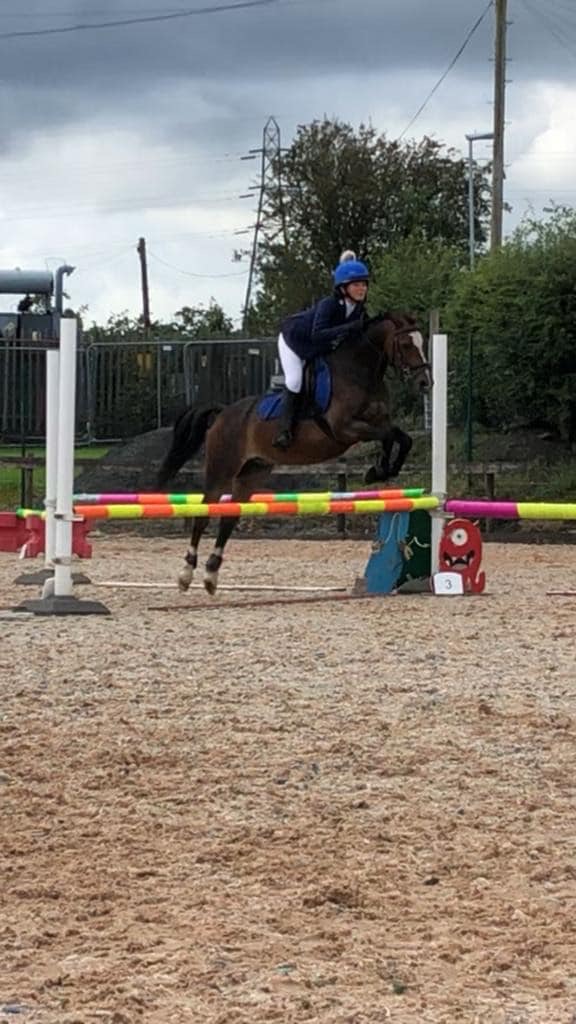 Hill Top Farm & Riding school