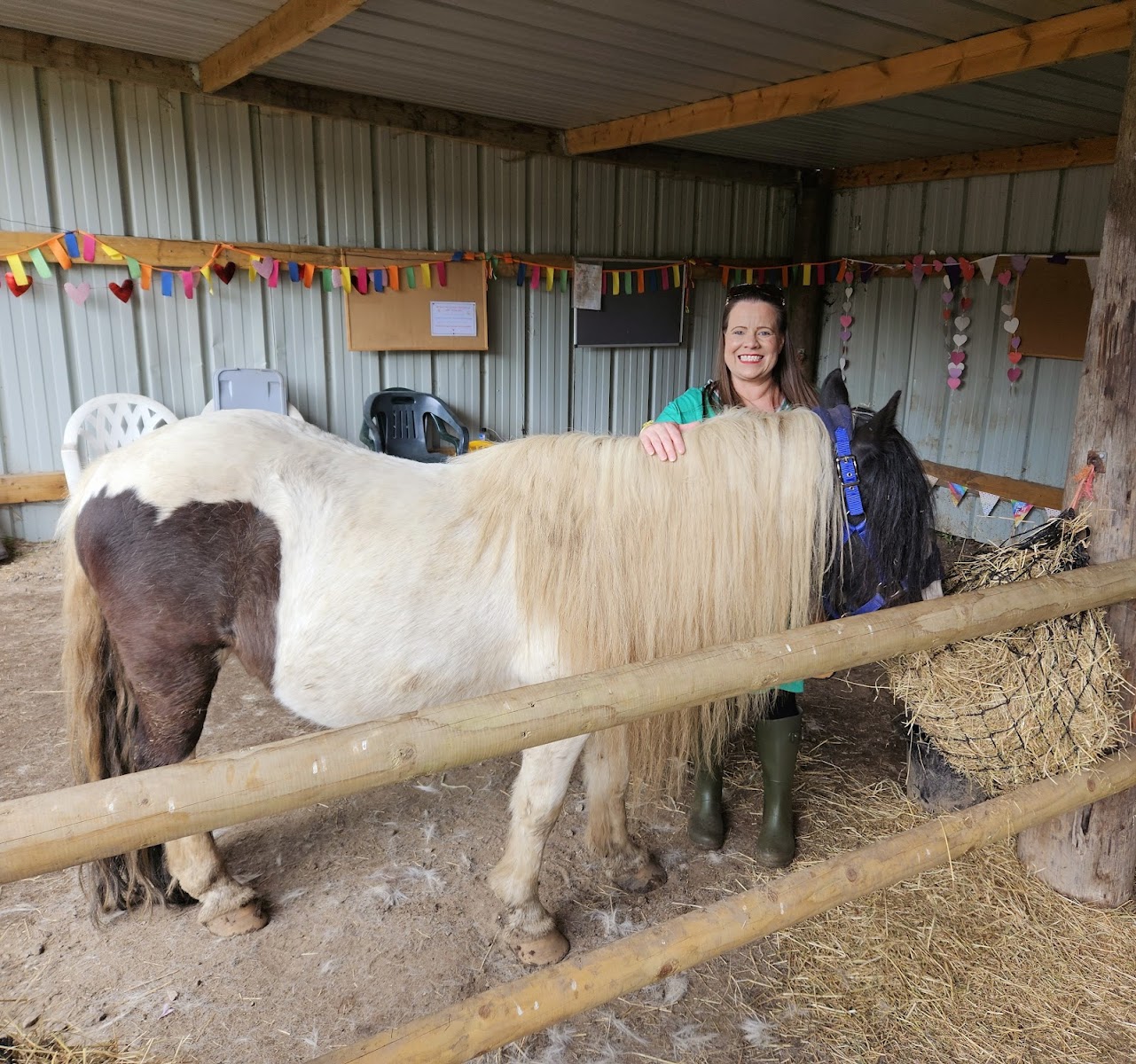 Spirit of the Herd Ponies Helping People