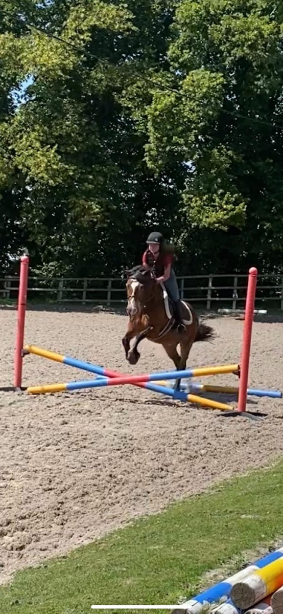 Willington Estate Riding Centre & Livery