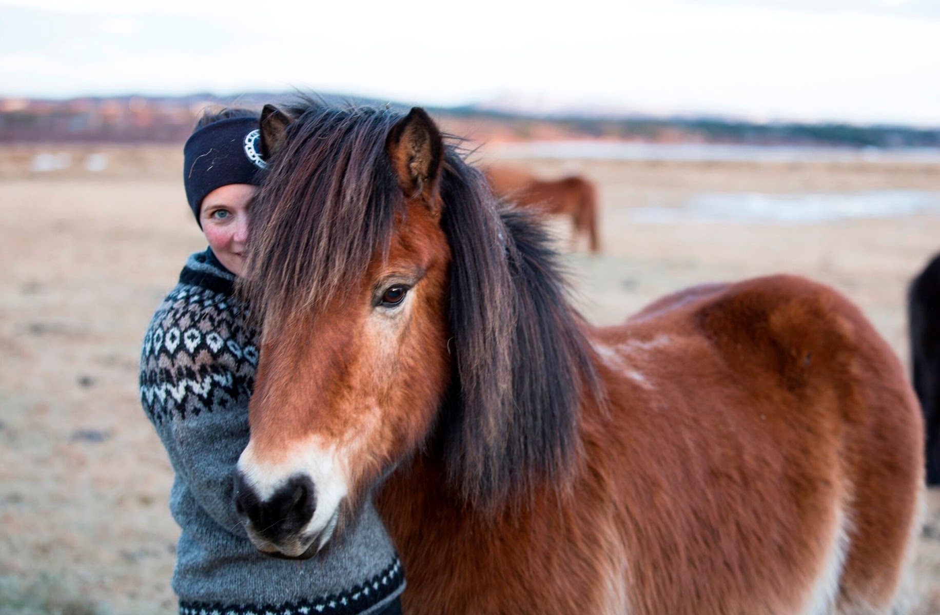 Equestrian Escapes